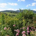 Chalet In The Vosges