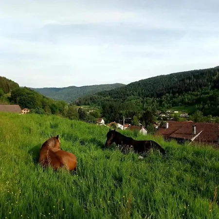 Horská chata In The Vosges *