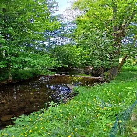 In The Vosges