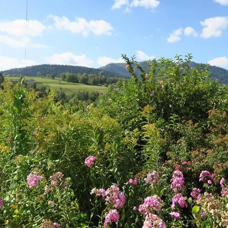 Horská chata In The Vosges