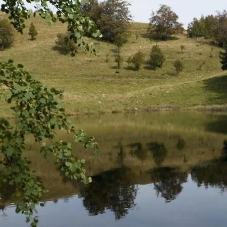 Apartment In The Vosges בקתה סן-מוריס-סור-מוסל