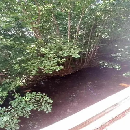 בקתה Apartment In The Vosges סן-מוריס-סור-מוסל