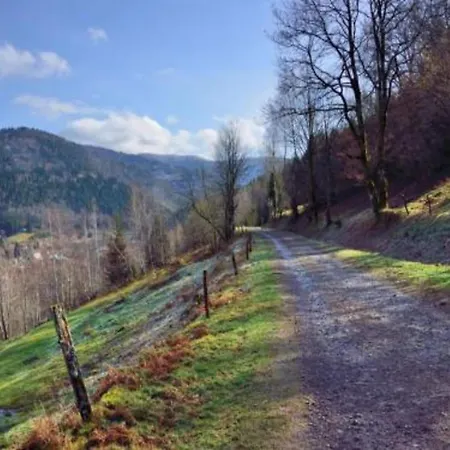 In A Near The Vosges Slopes *