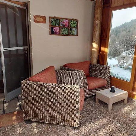 Alpehytte In The Vosges *