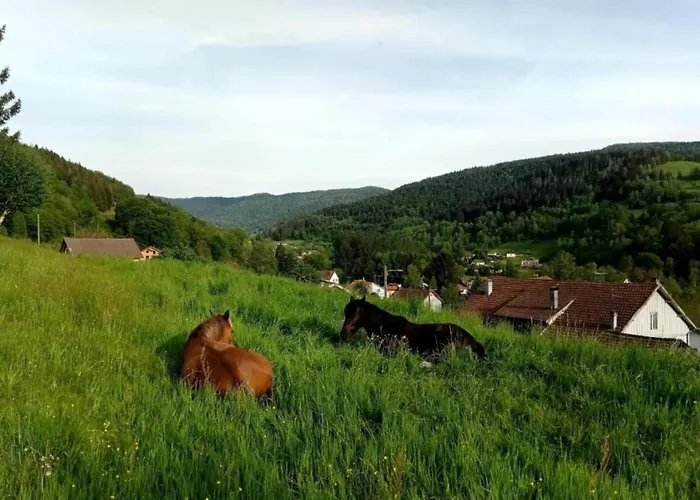 Horská chata In The Vosges *