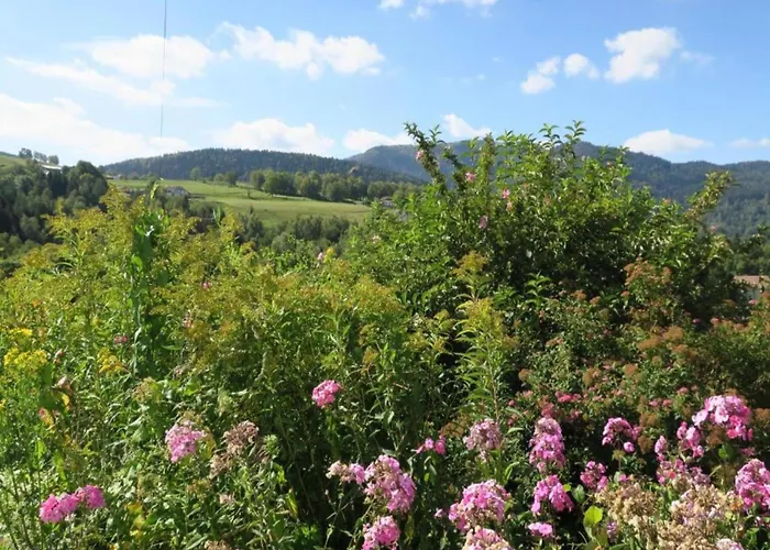 Horská chata In The Vosges